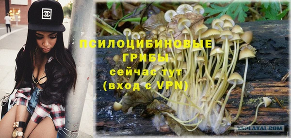 кокаин колумбия Алексин