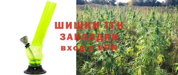 ГАЛЛЮЦИНОГЕННЫЕ ГРИБЫ Покров