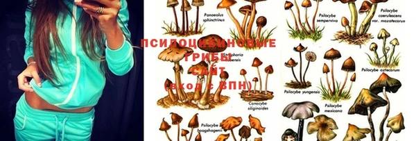 кокаин колумбия Алексин