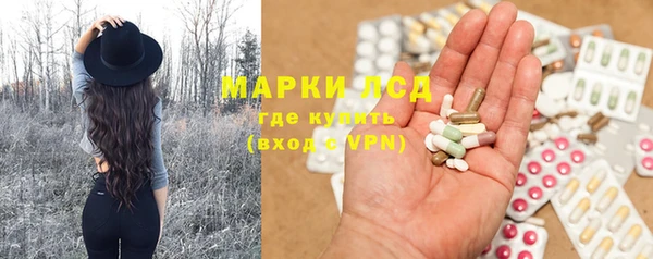 ГАЛЛЮЦИНОГЕННЫЕ ГРИБЫ Покров